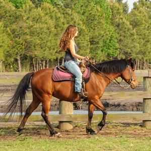 Desperado Horse Farm and Trail Rides